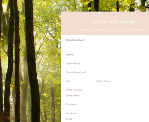 Peaceful Forrest - Theme Poster