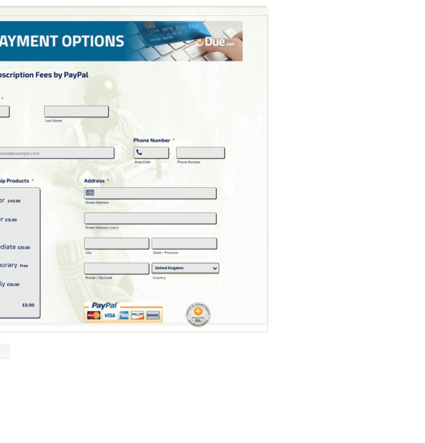 Payment Options - Theme Poster