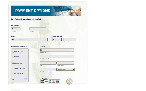 Payment Options - Theme Poster