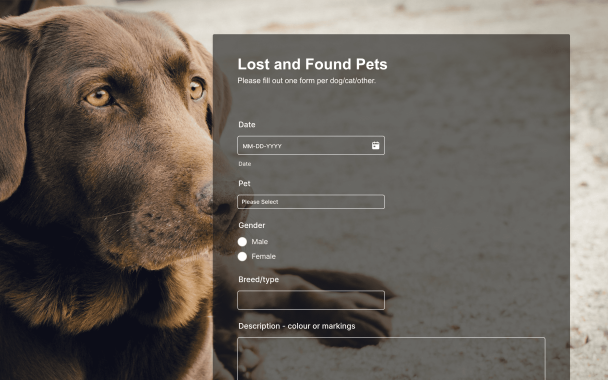 Pet Lover - Theme Poster