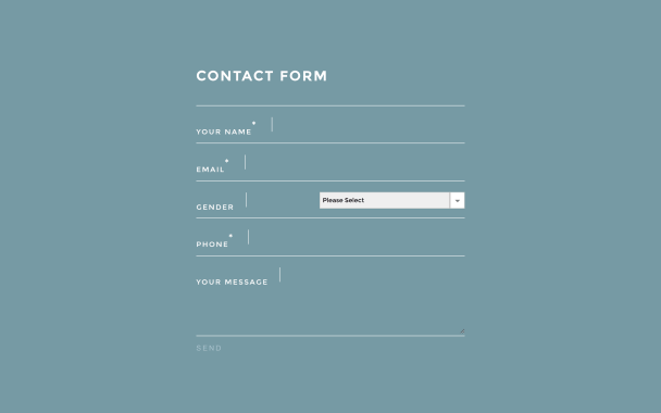 Photography Release Form - Theme Poster
