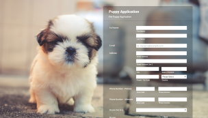 Puppy