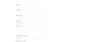 RiverWorks Original Theme - Theme Poster