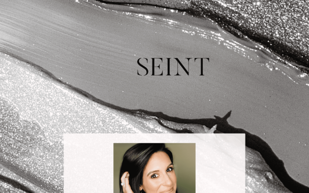 Seint Colormatch Form - Theme Poster
