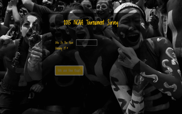 Sports Fans - Theme Poster
