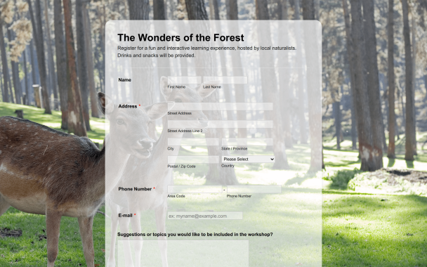 The Wonders of the Forest Learning Experience - Theme Poster