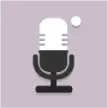 Voice Recorder