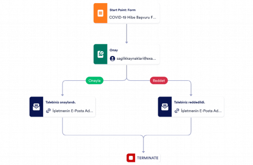 COVID-19 Hibe Başvurusu Onay Şablonu Template