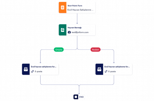 Evcil Hayvan Sahiplenme Onay Şablonu Template