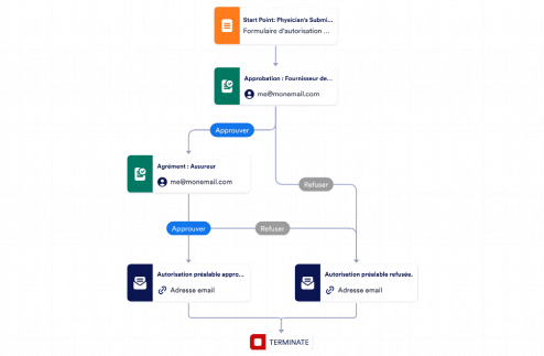 Modèle de pré-approbation médicale Template